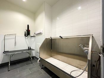 A stainless steel sink in a clean, white-tiled bathroom.